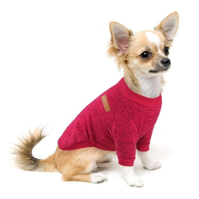 Pull d’Hiver Douillet pour Petits Chiens | Chaud, Confortable et Stylé | Panier, lit et accessoires design pour animaux - CoconDou