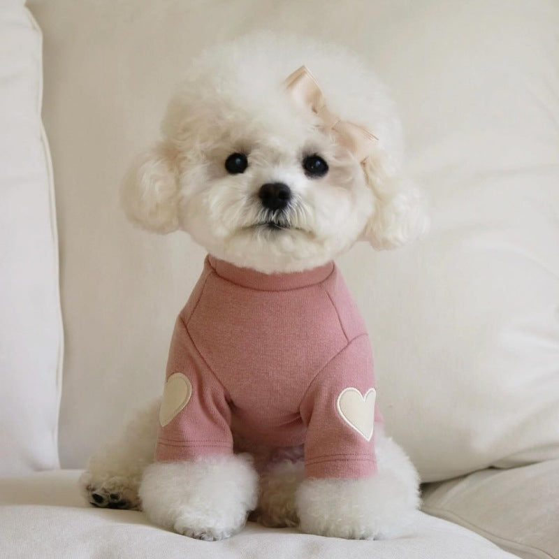 Sweat à Capuche en Velours pour Chien – Style Ours Teddy, Chaud et Confortable | CoconDou | Panier, lit et accessoires design pour animaux - CoconDou