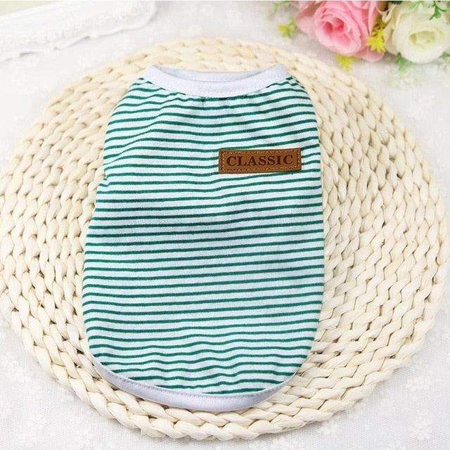 Pull d’Hiver Douillet pour Petits Chiens | Chaud, Confortable et Stylé | Panier, lit et accessoires design pour animaux - CoconDou