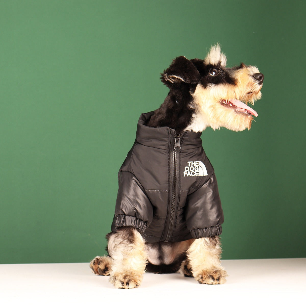 Manteau pour Chien Chaud & Stylé | Confort Hiver Imperméable | Panier, lit et accessoires design pour animaux - CoconDou
