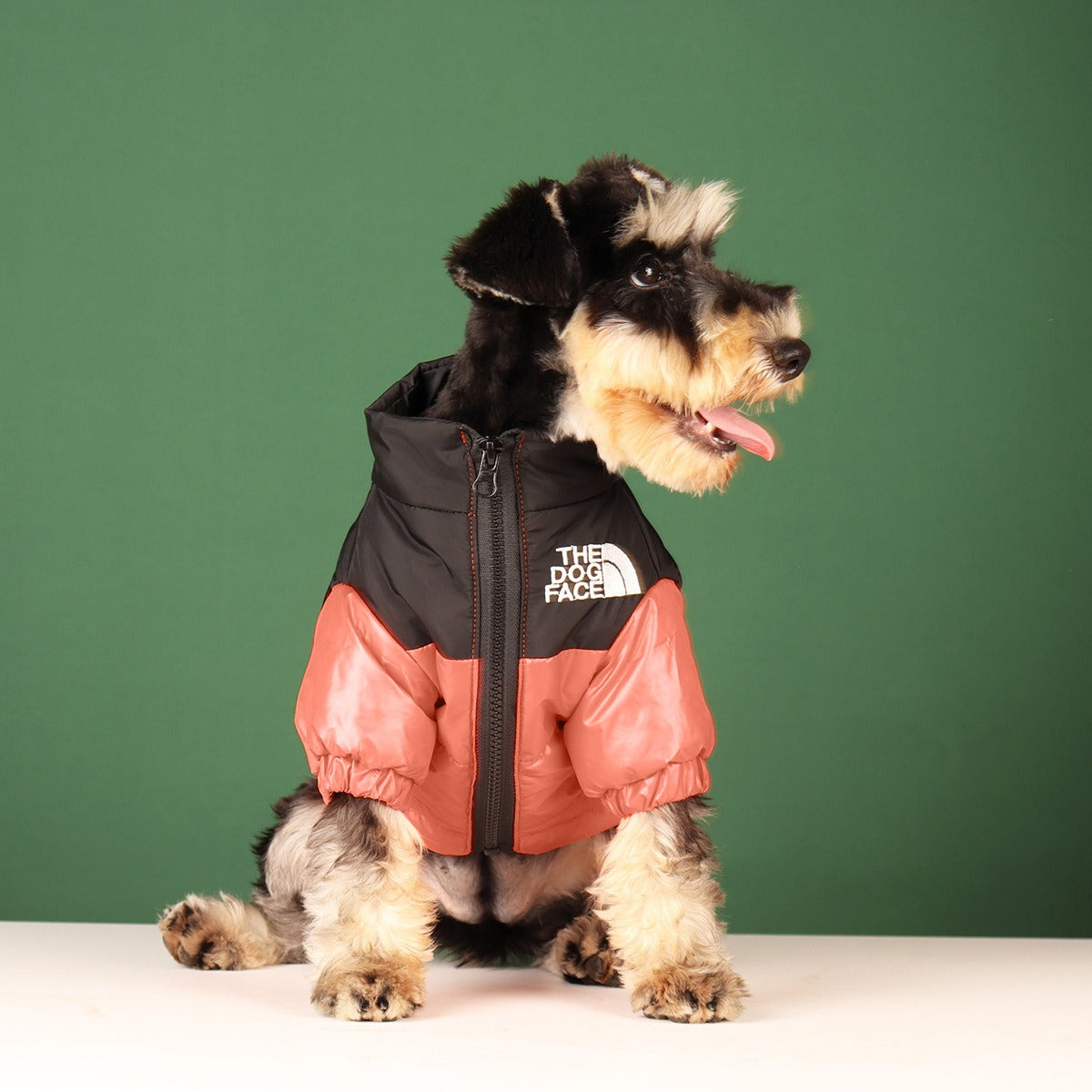 Manteau pour Chien Chaud & Stylé | Confort Hiver Imperméable | Panier, lit et accessoires design pour animaux - CoconDou