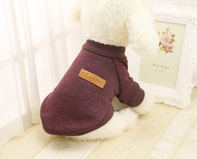 Pull d’Hiver Douillet pour Petits Chiens | Chaud, Confortable et Stylé | Panier, lit et accessoires design pour animaux - CoconDou