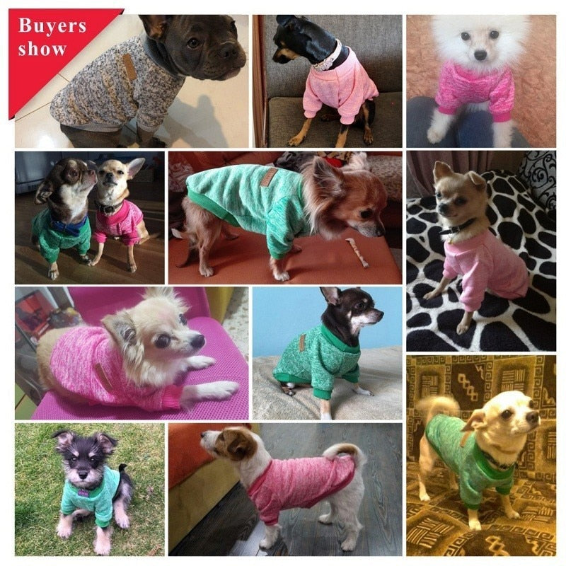 Pull d’Hiver Douillet pour Petits Chiens | Chaud, Confortable et Stylé | Panier, lit et accessoires design pour animaux - CoconDou