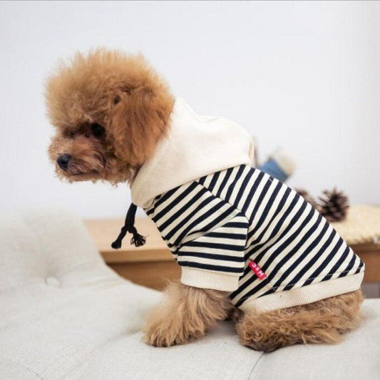 Pull pour Chien Confortable & Stylé | Tenue Tendance | Panier, lit et accessoires design pour animaux - CoconDou