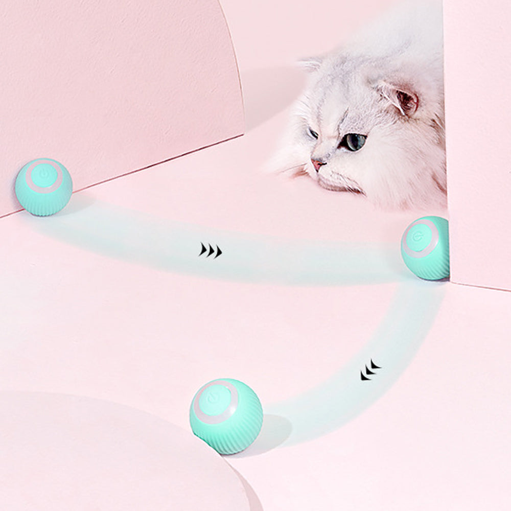 Balle Interactive pour Chat – Balle Roulante Intelligente, Électrique & Mentholée | Jeu, Détente et Santé | Panier, lit et accessoires design pour animaux - CoconDou