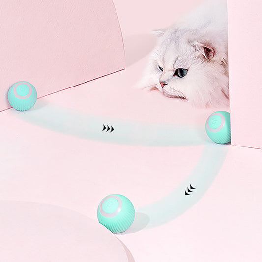 Balle Interactive pour Chat – Balle Roulante Intelligente, Électrique & Mentholée | Jeu, Détente et Santé | Panier, lit et accessoires design pour animaux - CoconDou