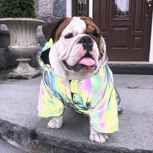 Imperméable Réfléchissant pour Chiens | Manteau Anti-Pluie & Coupe-Vent Confortable | Panier, lit et accessoires design pour animaux - CoconDou