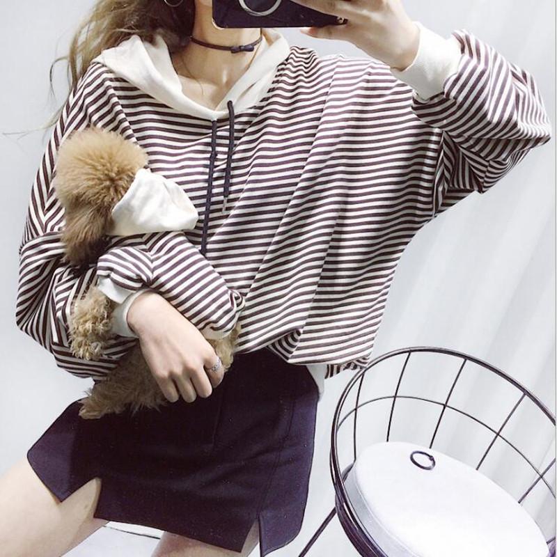 Pull pour Chien Confortable & Stylé | Tenue Tendance | Panier, lit et accessoires design pour animaux - CoconDou