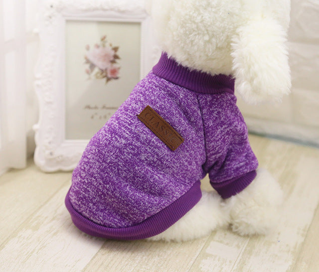 Pull d’Hiver Douillet pour Petits Chiens | Chaud, Confortable et Stylé | Panier, lit et accessoires design pour animaux - CoconDou