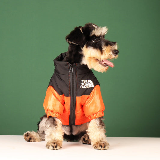 Manteau pour Chien Chaud & Stylé | Confort Hiver Imperméable | Panier, lit et accessoires design pour animaux - CoconDou
