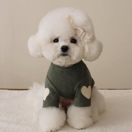 Sweat à Capuche en Velours pour Chien – Style Ours Teddy, Chaud et Confortable | CoconDou | Panier, lit et accessoires design pour animaux - CoconDou
