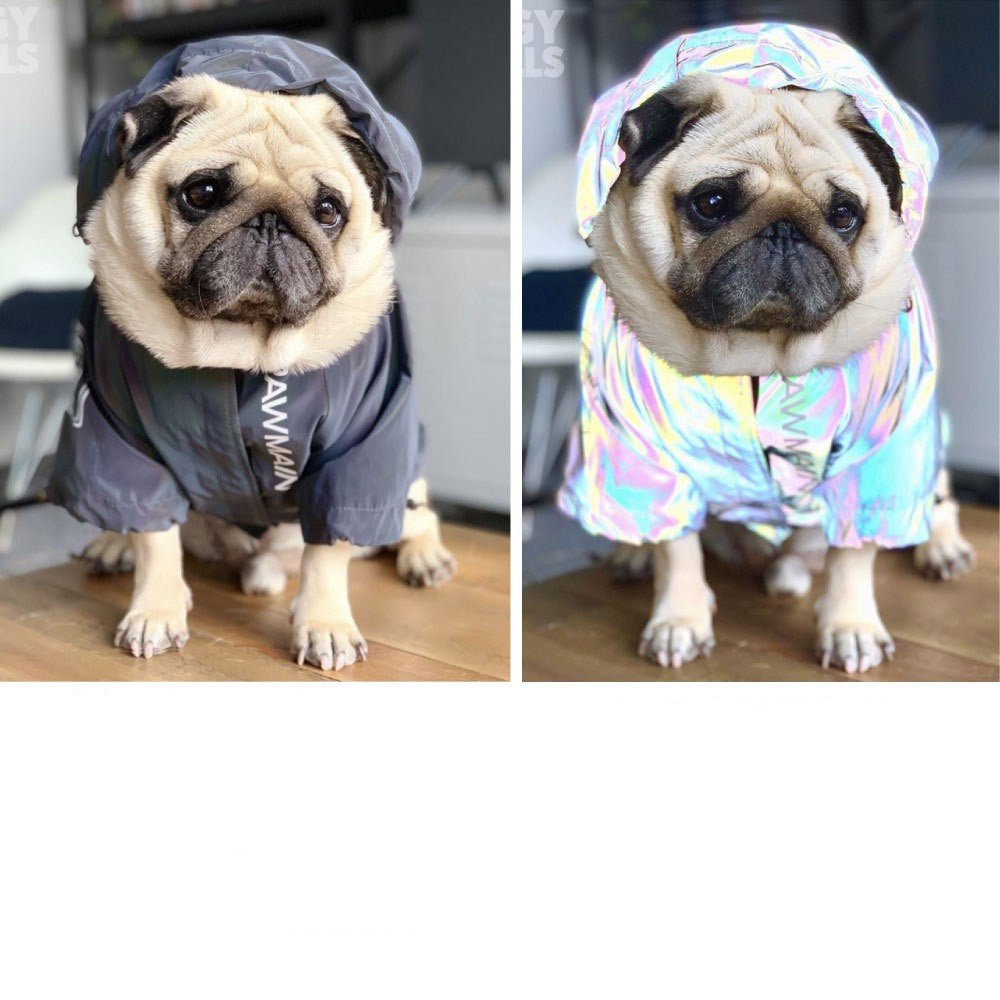 Panier confortable pour chien et chat Imperméable Réfléchissant pour Chien – Sécurité & Confort - CoconDou