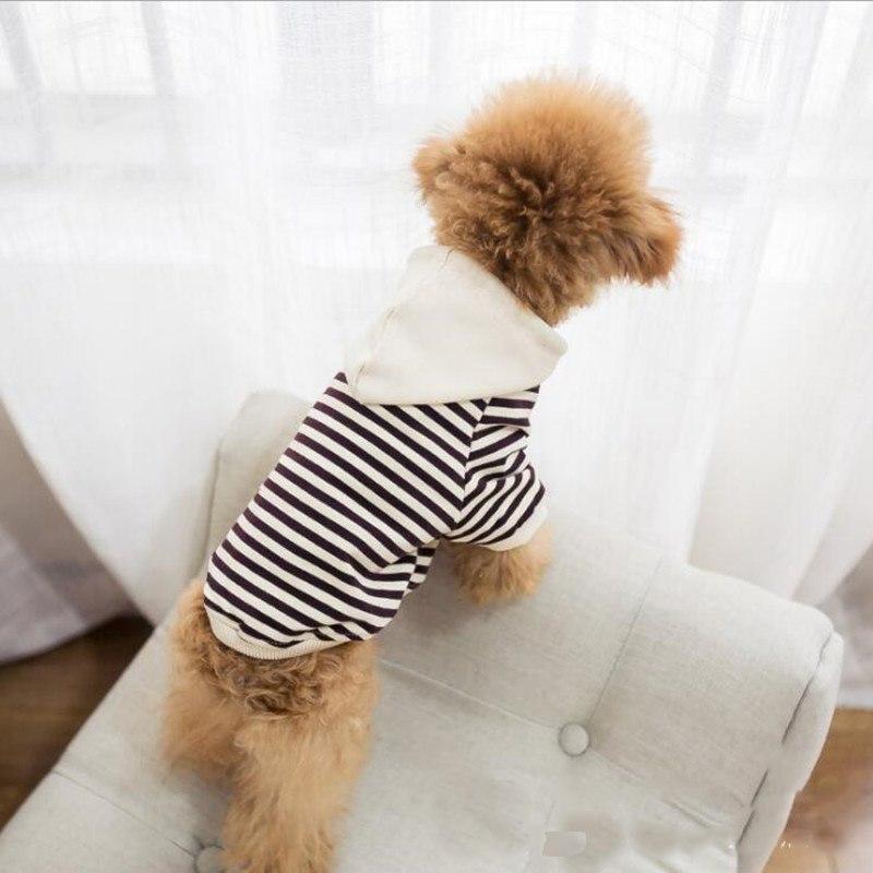 Panier confortable pour chien et chat Pull pour Chien – Confortable & Stylé - CoconDou