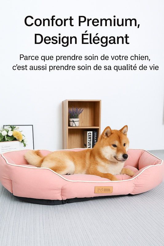 Lit pour Chiens Moyens et Grands | Coussin Confortable et Durable | Panier, lit et accessoires design pour animaux - CoconDou